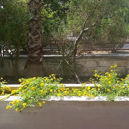 펜션 Jacaranda 레체