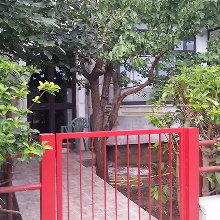 Nyaraló Jacaranda